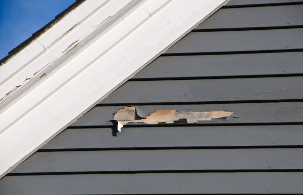 Affordable Siding Repair and Maintenance Services in Loves Park, IL